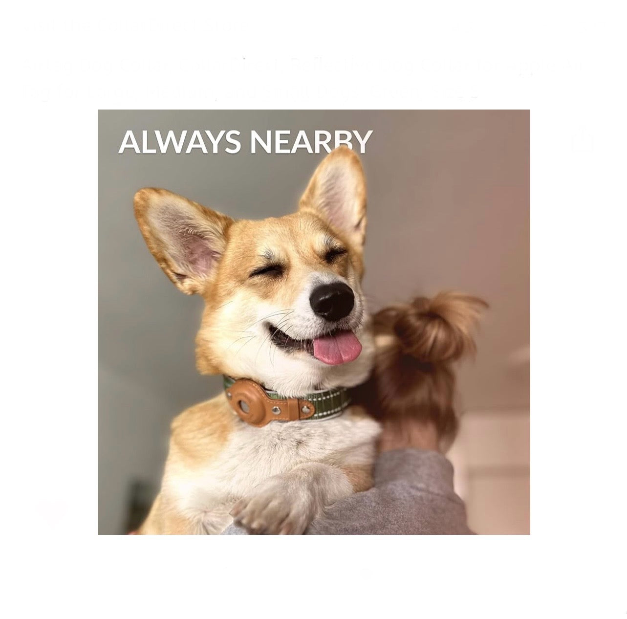 Airtag Dog Collar, Reflective Dog Collar for Apple Air