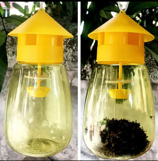 Eco Friendly Fly Catcher