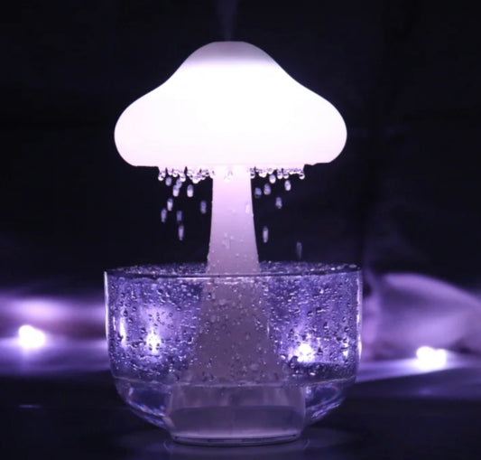 Rain Cloud Humidifier